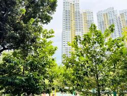 Blk 304 Clementi Avenue 4 (Clementi), HDB 3 Rooms #569649131